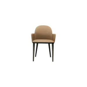 Dining Chair : CM-Y214