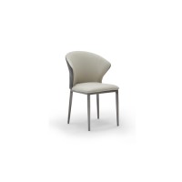 Dining Chair : SZ-C361