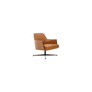 Lounge Chair : CM-F203