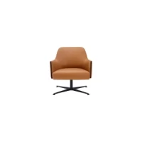 Lounge Chair : CM-F203