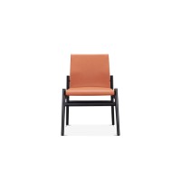 Lounge Chair : SZ-C153
