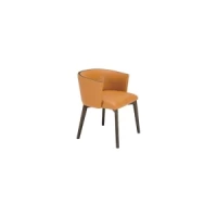 Dining Chair : CM-Y192