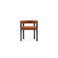 Dining Chair : SZ-C312
