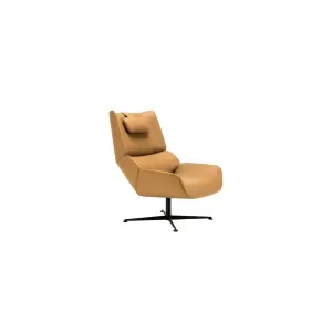 Lounge Chair : CM-F197